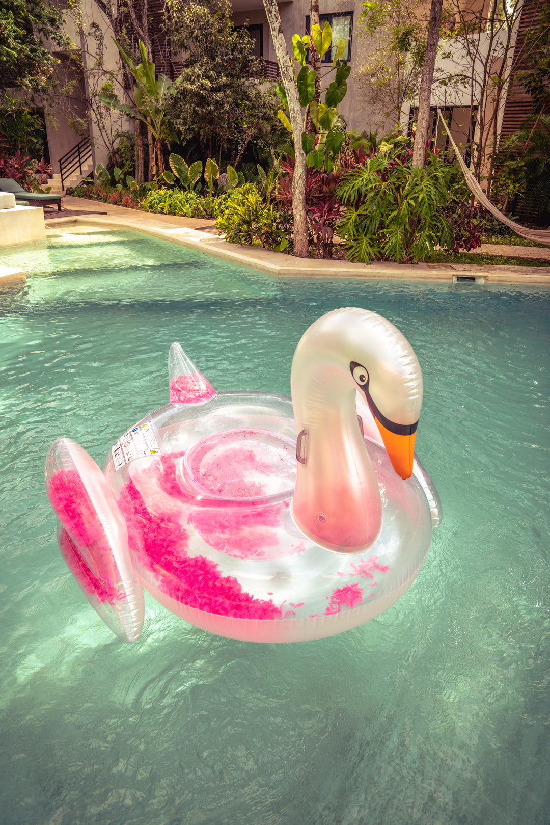 El cisne de plumas original