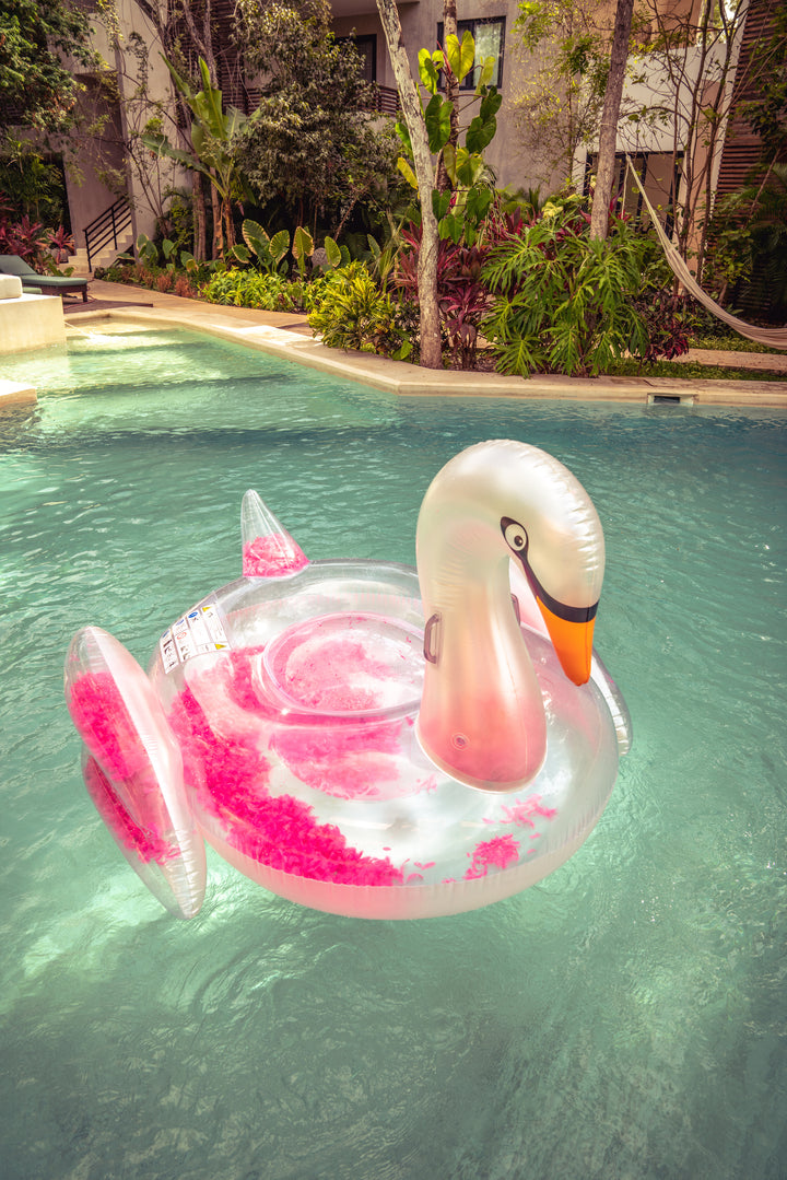 El cisne de plumas original