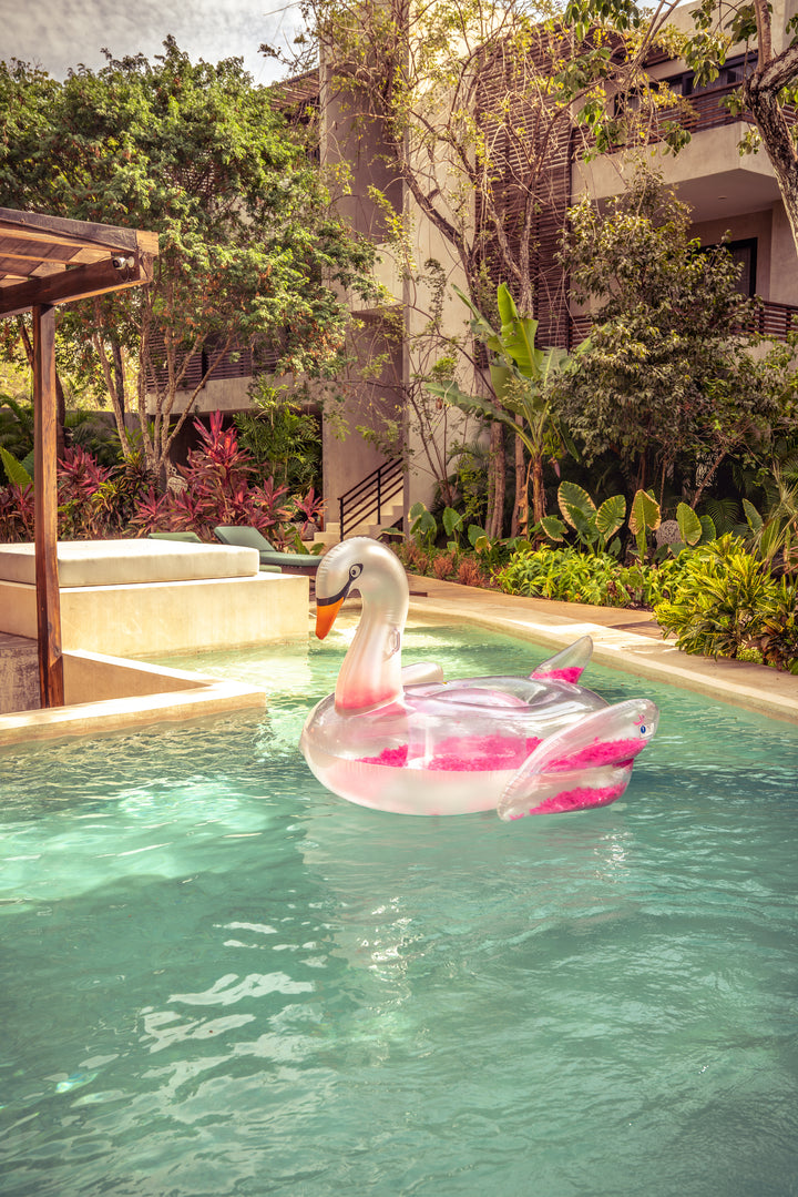 El cisne de plumas original