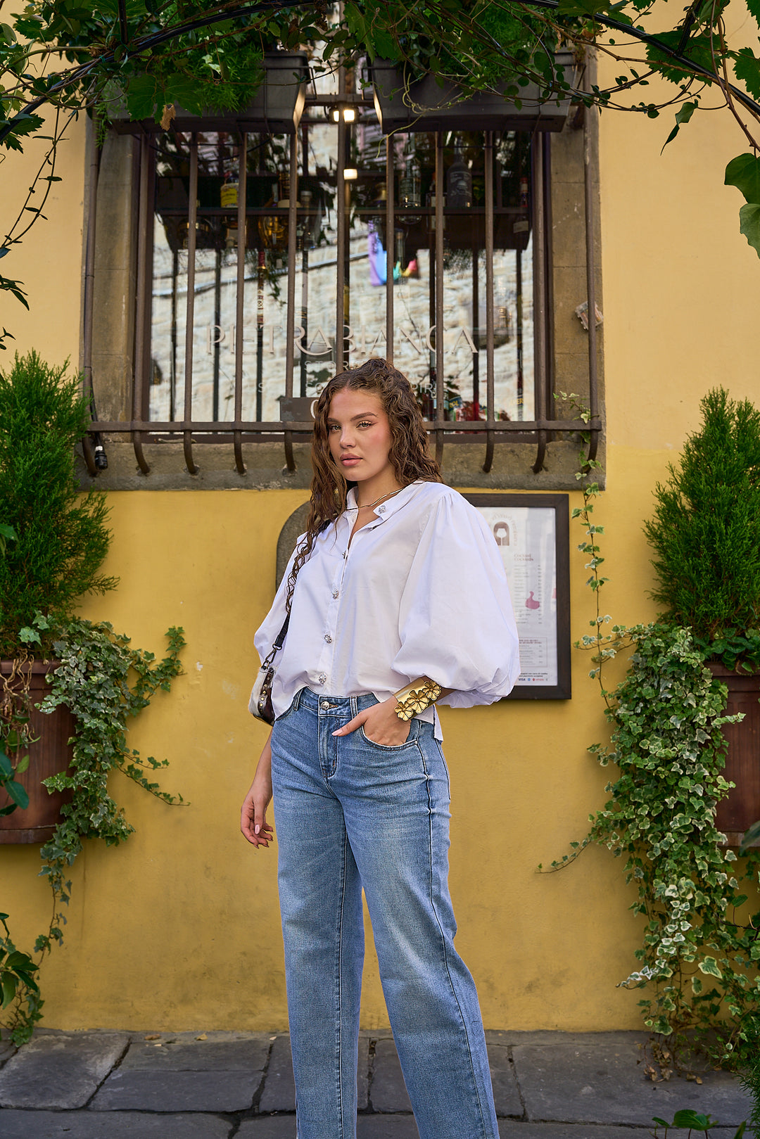 Puff Sleeve Poplin Top