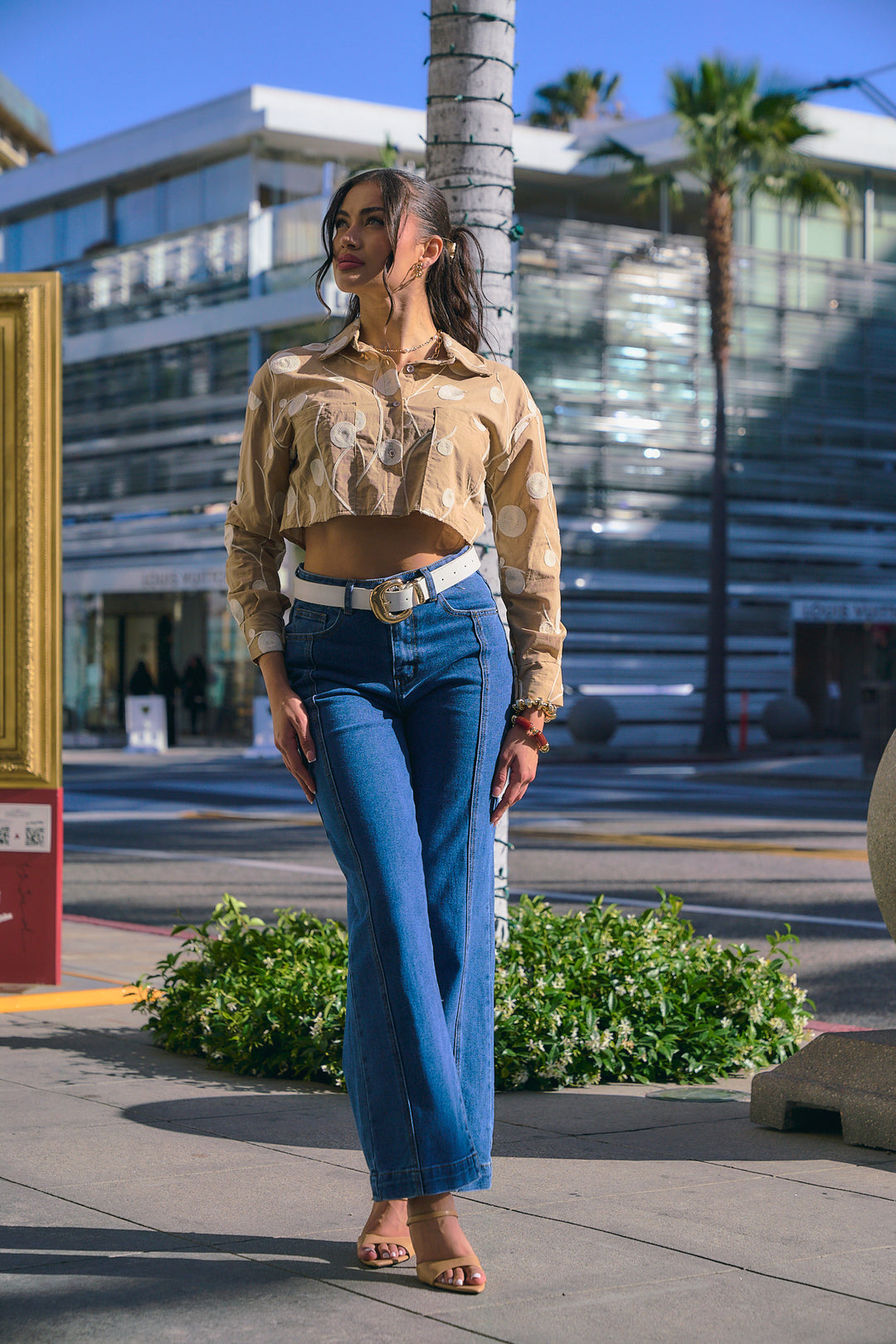 Embroidered Cropped Shirt