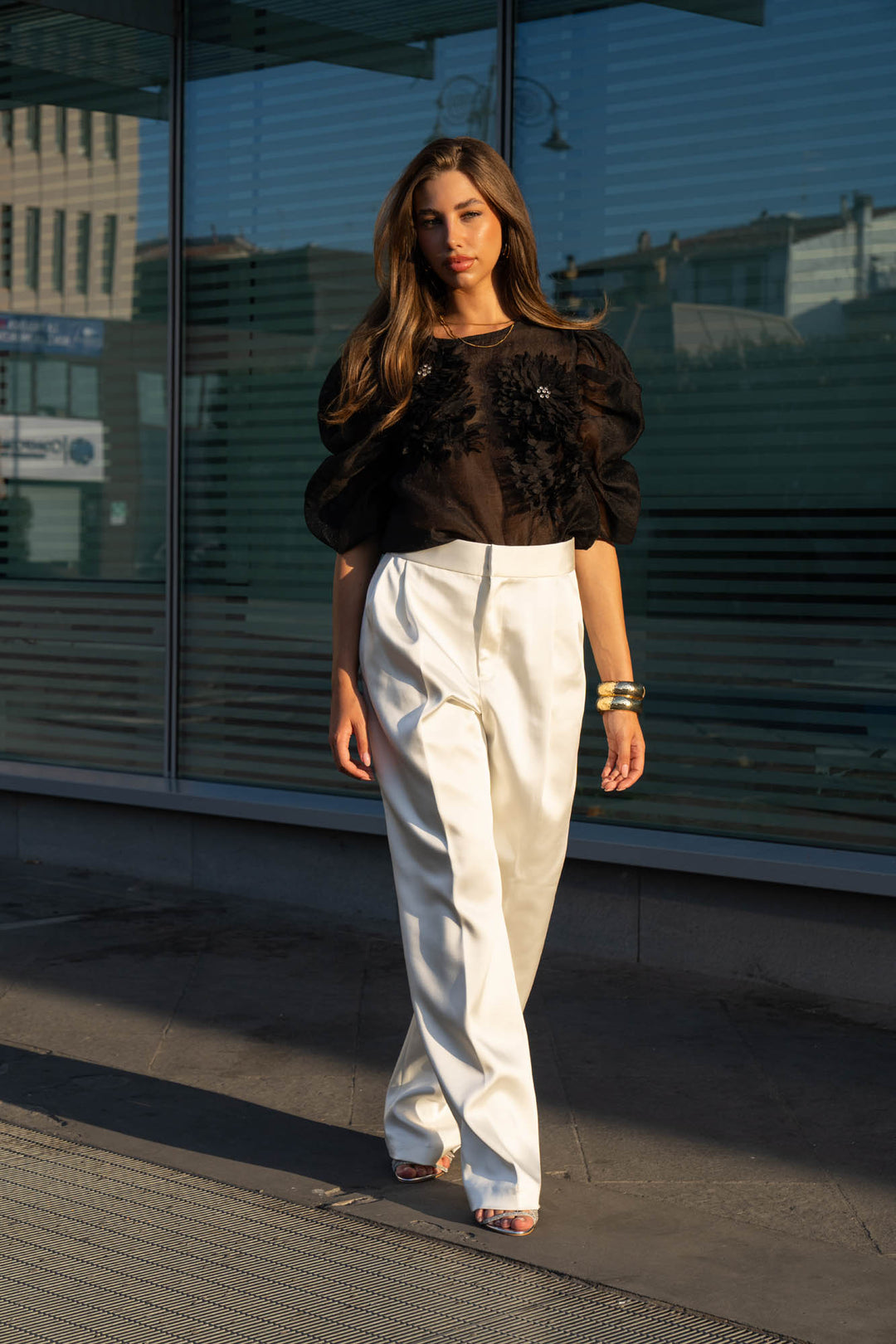 Organza Puff Sleeve Top