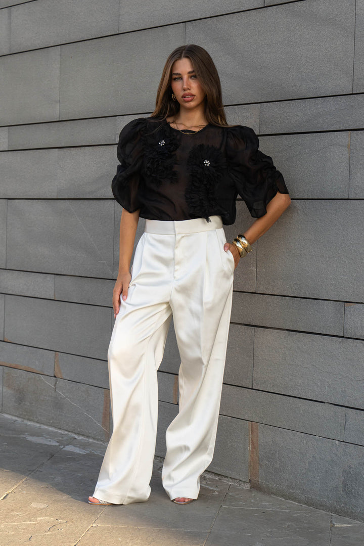 Organza Puff Sleeve Top